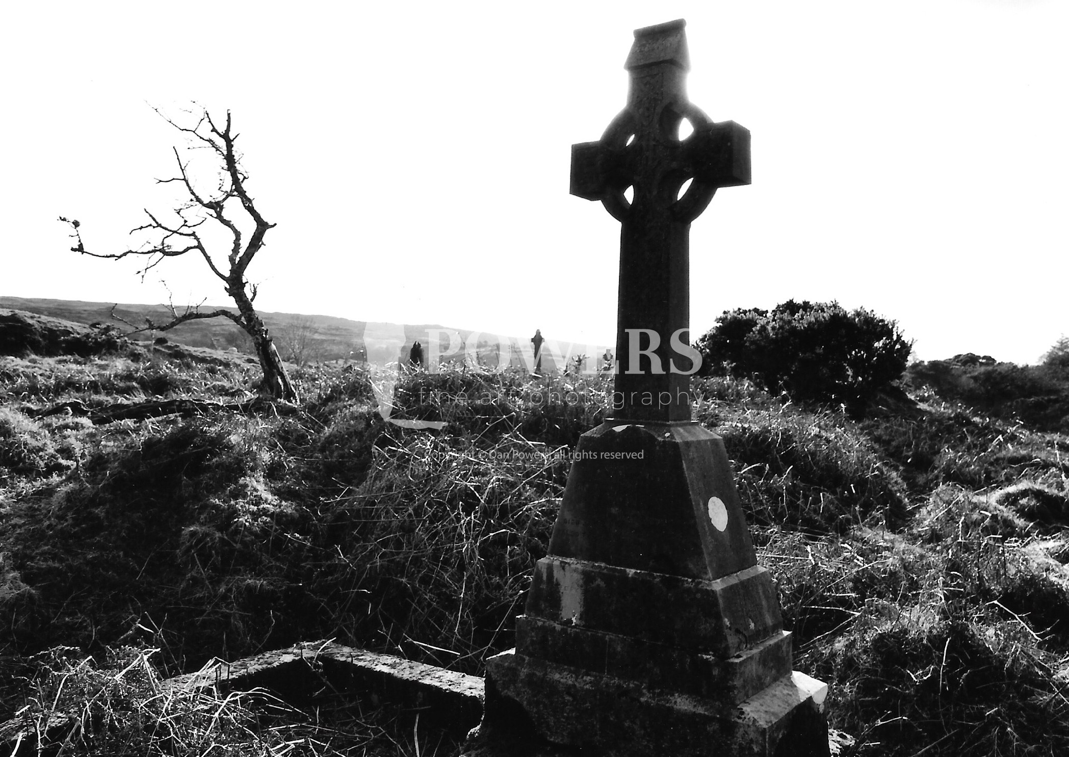 BEAUTIFUL B /& W PHOTO OF CELTIC CROSSES 8 x 10  PHOTO IRELAND 2